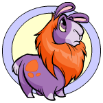 Purple Gnorbu