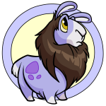 Purple Gnorbu