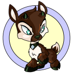 Brown Ixi