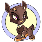 Brown Ixi