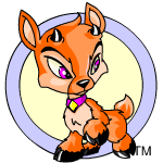 Orange Ixi