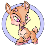 Orange Ixi