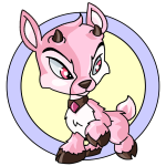 Pink Ixi