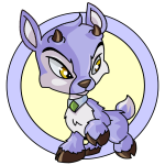 Purple Ixi