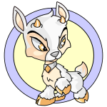 White Ixi