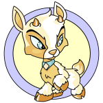 White Ixi