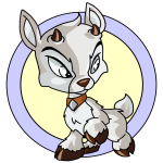 White Ixi