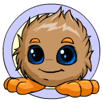 Brown Jubjub