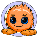 Orange Jubjub