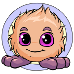 Orange Jubjub