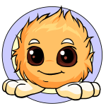 Orange Jubjub
