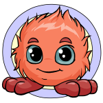 Orange Jubjub