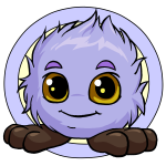 Purple Jubjub