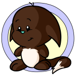 Brown Kacheek