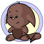 Brown Kacheek