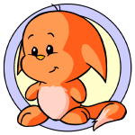 Orange Kacheek