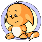 Orange Kacheek