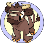 Brown Kau