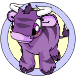 Purple Kau