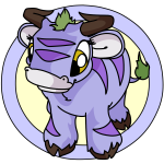 Purple Kau