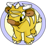 Yellow Kau