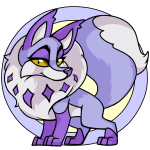 Purple Kitzen