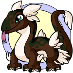 Brown Kohmo