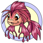 Pink Koi