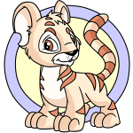 Cream Kougra