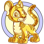 Gold Kougra