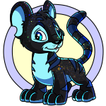 Iridescent Kougra