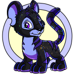 Iridescent Kougra