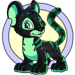 Iridescent Kougra