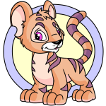 Orange Kougra