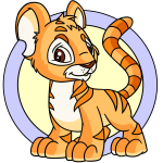 Orange Kougra