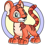 Orange Kougra