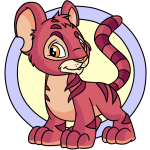 Pink Kougra