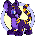 Purple Kougra