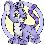 Purple Kougra