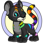 Rainbow Kougra