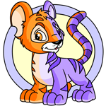 Split Kougra