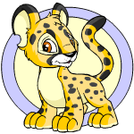 Spotted Kougra