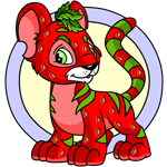 Strawberry Kougra