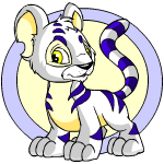 White Kougra