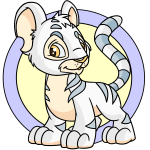 White Kougra