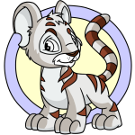 White Kougra