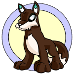 Brown Lupe