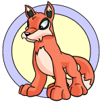 Orange Lupe
