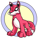 Pink Lupe