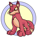 Pink Lupe
